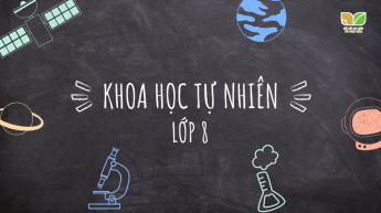 Khoa Học Tự Nhiên - Lớp 8 - Bộ Sách Kết Nối Tri Thức Với Cuộc Sống